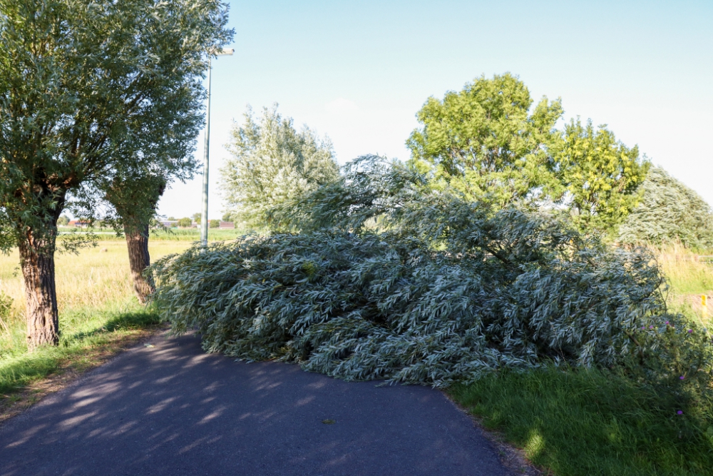 Brandweer haalt boom van de weg