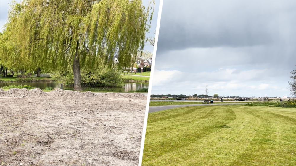 Het gras wil niet groeien, dus viert Vlaardingen 5 mei in het Krabbepark