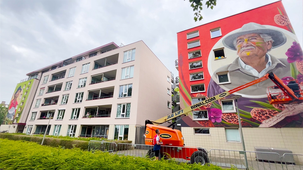 Ook tweede muurschildering voltooid: Arij Koplaan in Vlaardingen heeft kleur