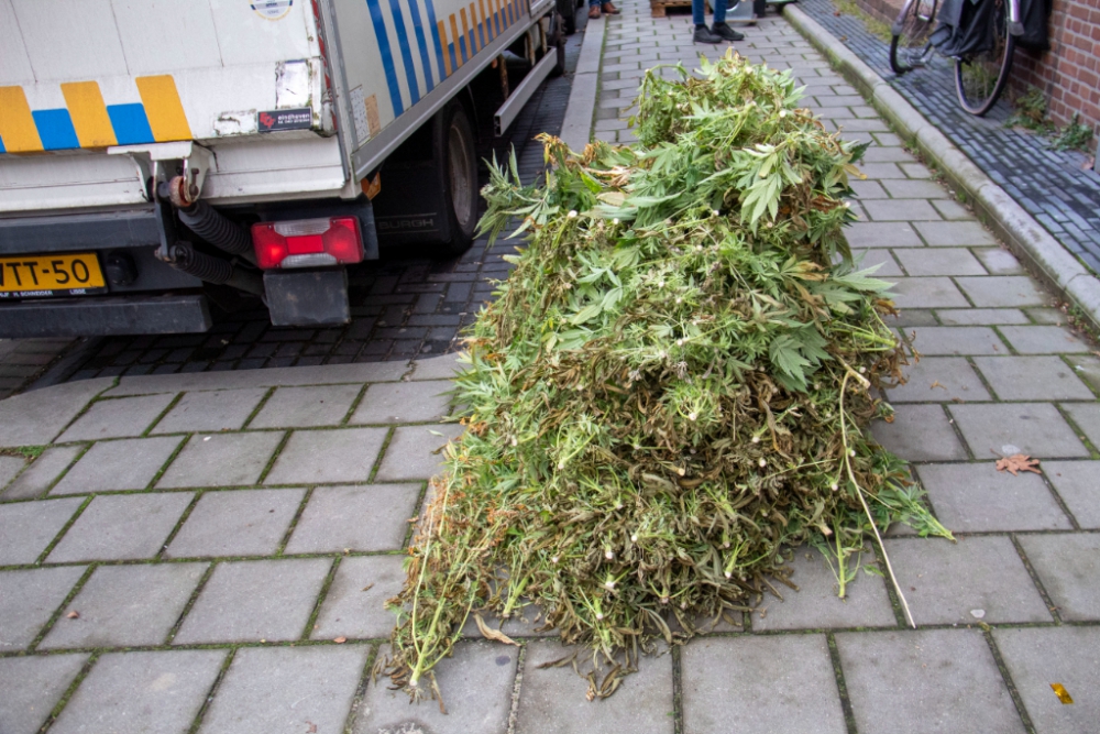 Weer hennepkwekerij aangetroffen in Nicolaas Beetsstraat, vier aanhoudingen