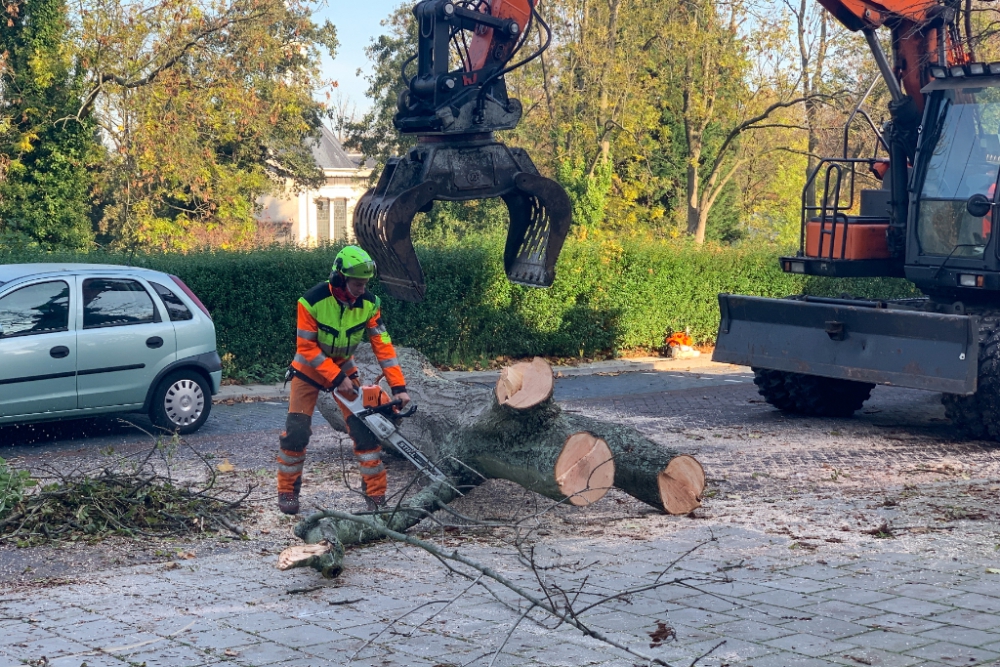 Zwaar materieel ingezet bij bomenkap Vlaardingerdijk