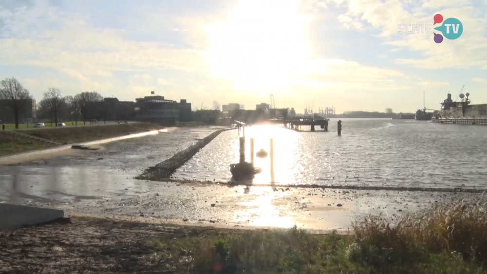 Einde aan losloopgebied voor honden bij getijdenpark