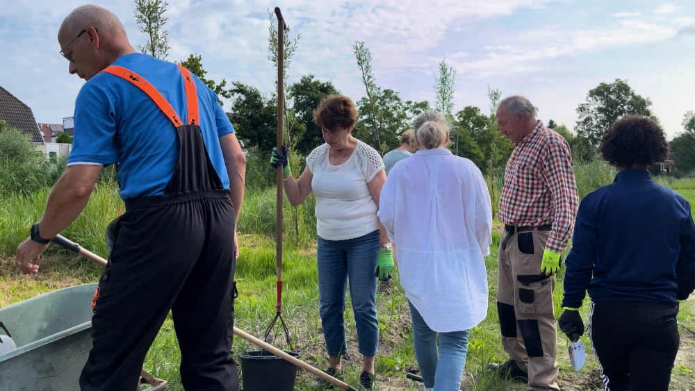 Schiedammers met groene vingers gezocht