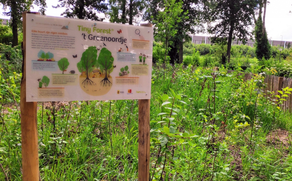 Gemeente en IVN Natuureducatie zoeken plekken voor Tiny Forest