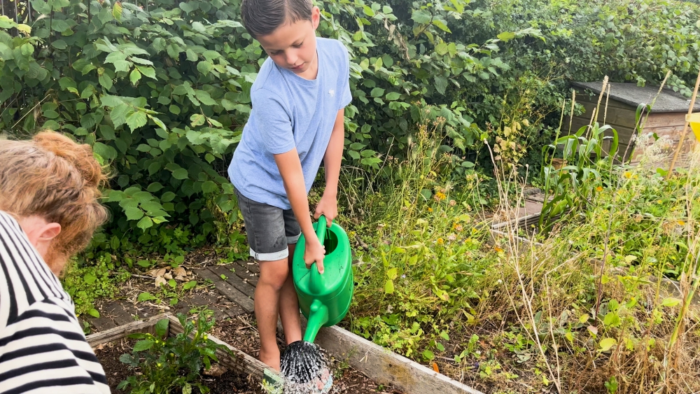 Kinderen kunnen meehelpen in de moestuin van de Maastuin: ‘Laten zien waar eten vandaan komt’