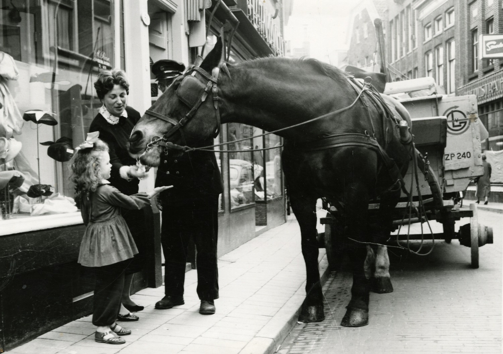 &#039;In de Hoogstraat is een geslaagde tentoonstelling&#039;