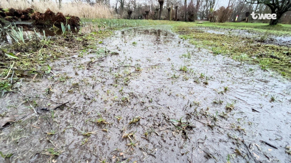 Vlaardingse ‘moeras’ heemtuin dicht, maar zonder blubber maandag weer open