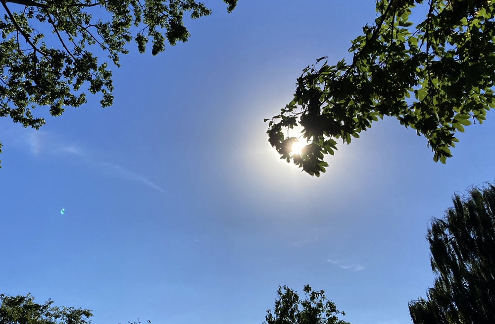 Nu al warmste 8 augustus ooit gemeten