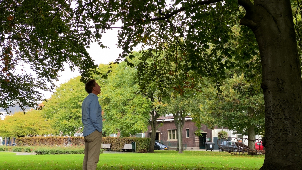 Oudjes redden zich, maar de jonkies niet: natuur herstelt zich na gortdroge zomer