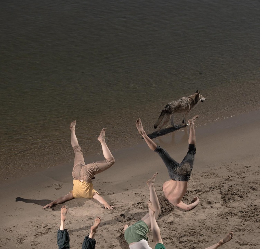 Dansvoorstelling Kop In Het Zand over klimaatverandering opnieuw te zien in Schiedam