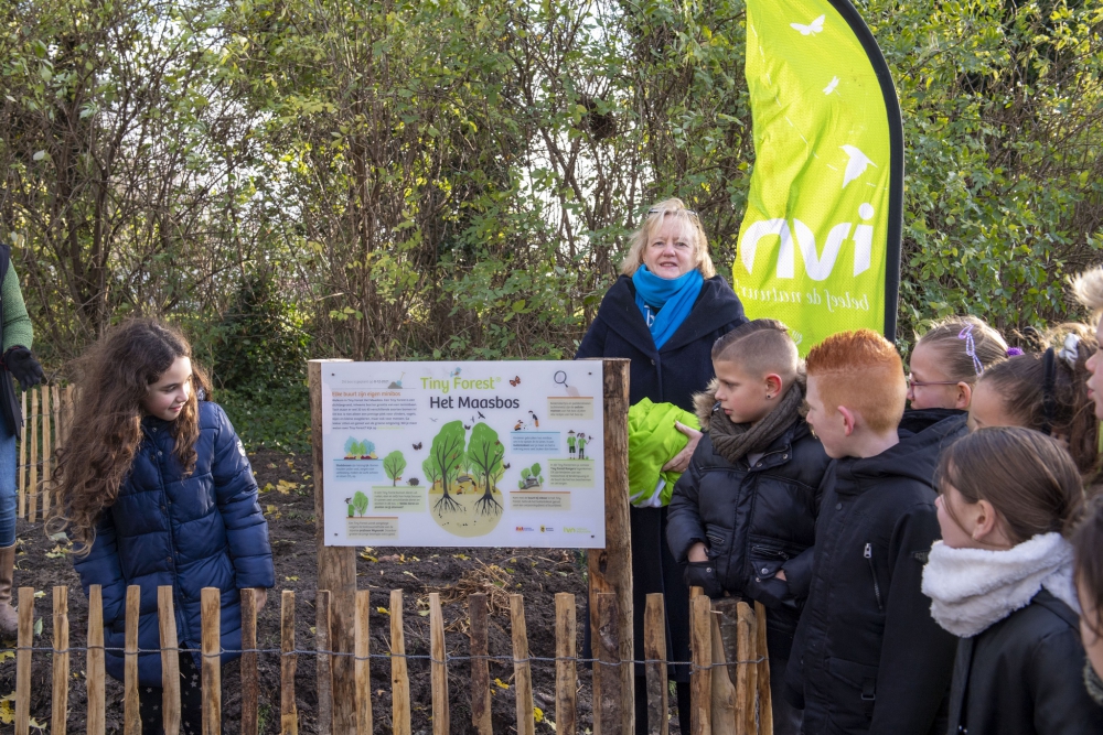 Tweede Tiny Forest in Schiedam in Park Maasboulevard; mini-bos heet Het Maasbos