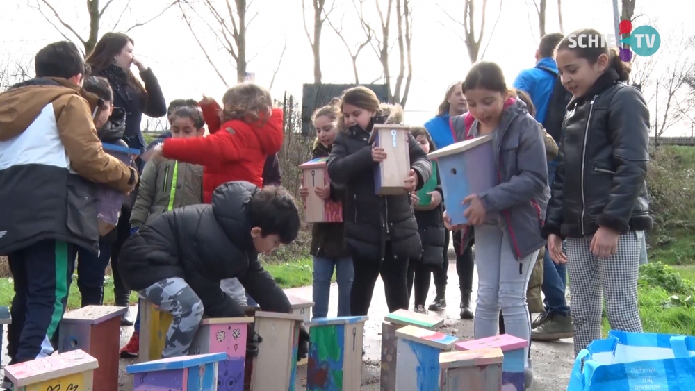 Nestkastjes tegen de overlast van de eikenprocessierups