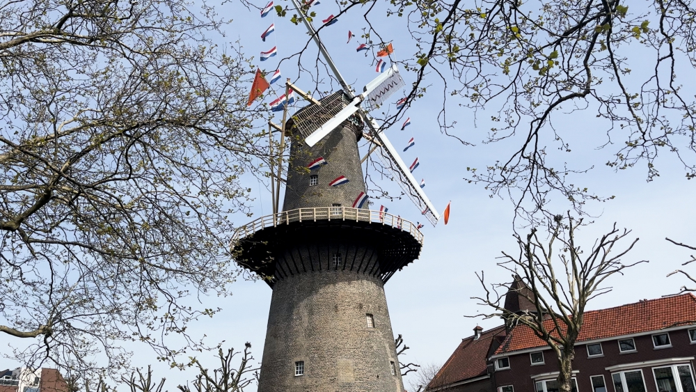 Zo vierde Schiedam Koningsdag in het Centrum, Kethel en de Gorzen: “Doe vandaag een heel rondje Schiedam”