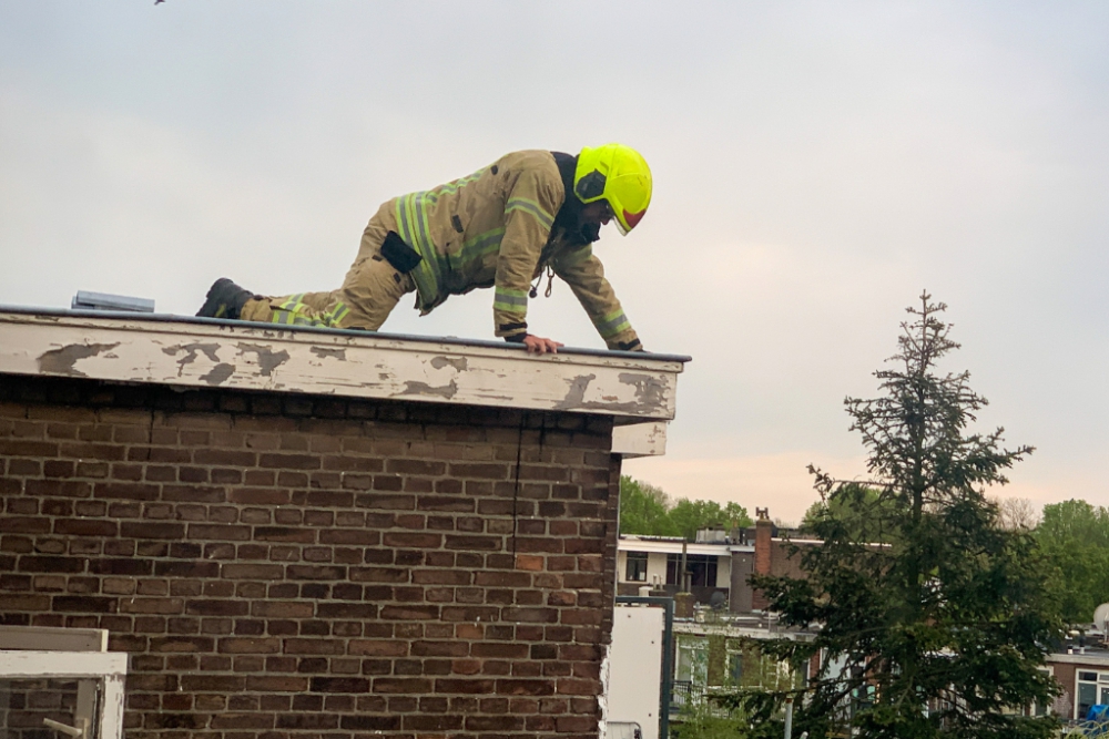 Kat na zeven dagen gered van dakrand Lorentzplein