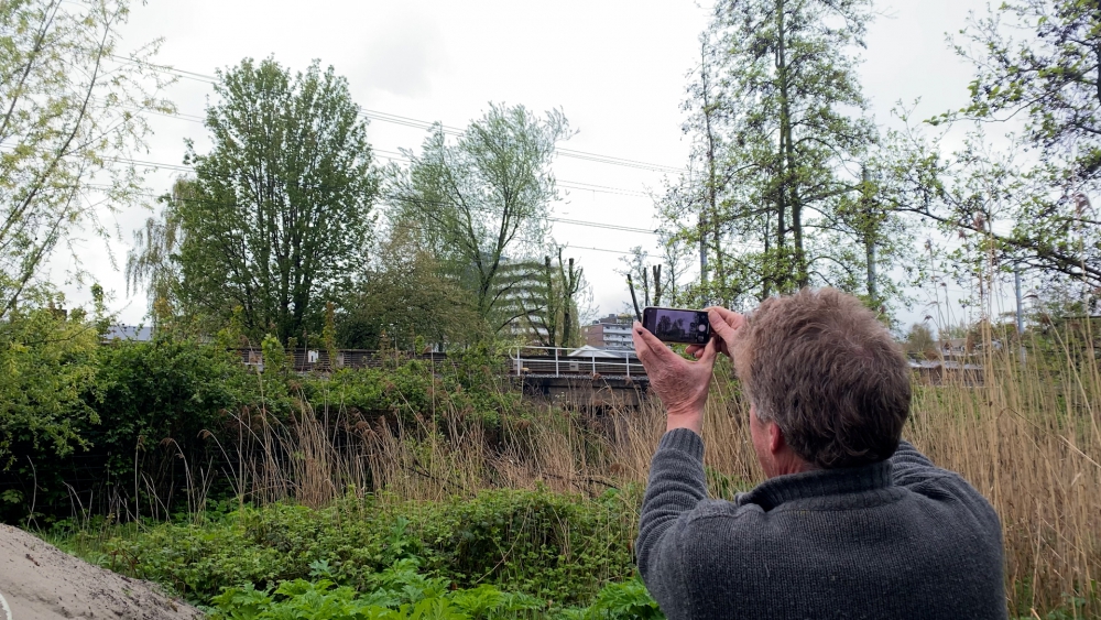 Natuur vs. metro: Bomenridders vrezen voor bomenkap langs het spoor