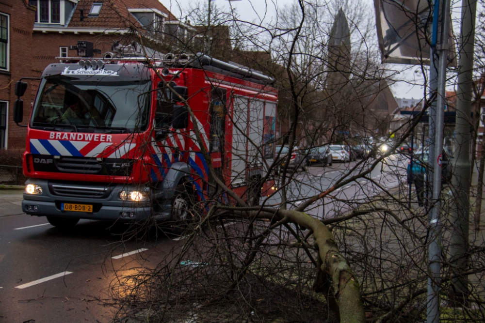 Ontwortelde boom valt op auto in de Gorzen