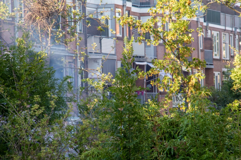 Brandweer rukt uit voor vuilverbranding in tuin Vlaardingerdijk