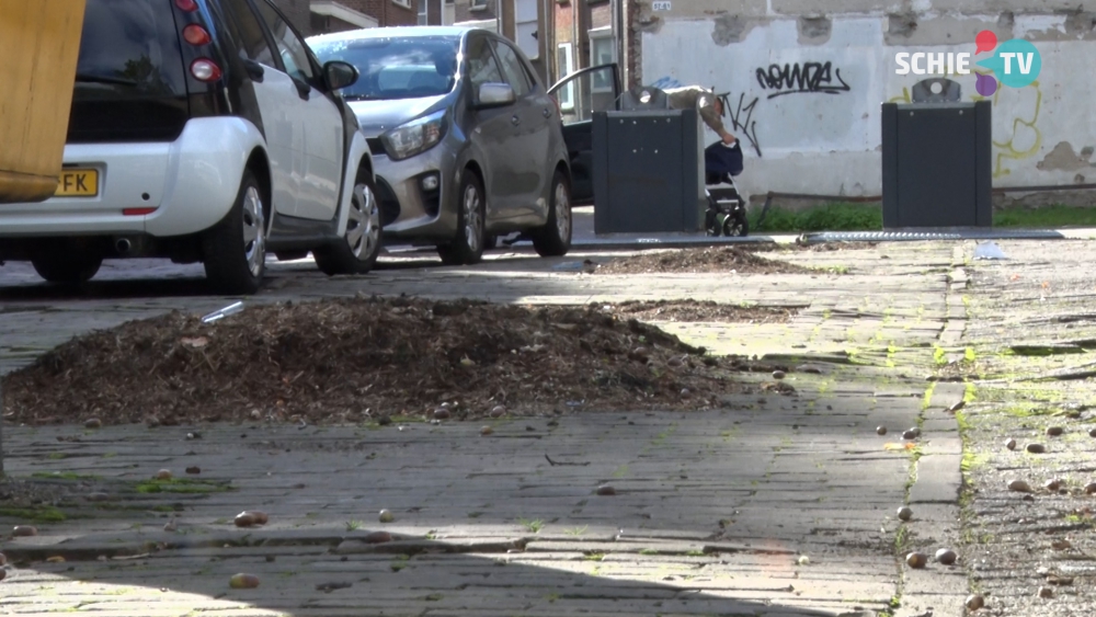 Bomen gekapt aan Lange Achterweg voor bouw van zeven woningen