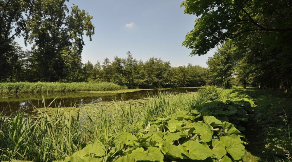 Deel kosten bodemsanering Broekpolder niet te verhalen op Havenbedrijf, college gaat wel in gesprek