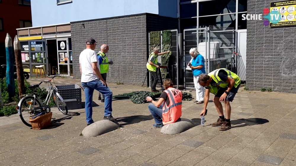 Van &#039;t Hoffplein wordt steeds groener