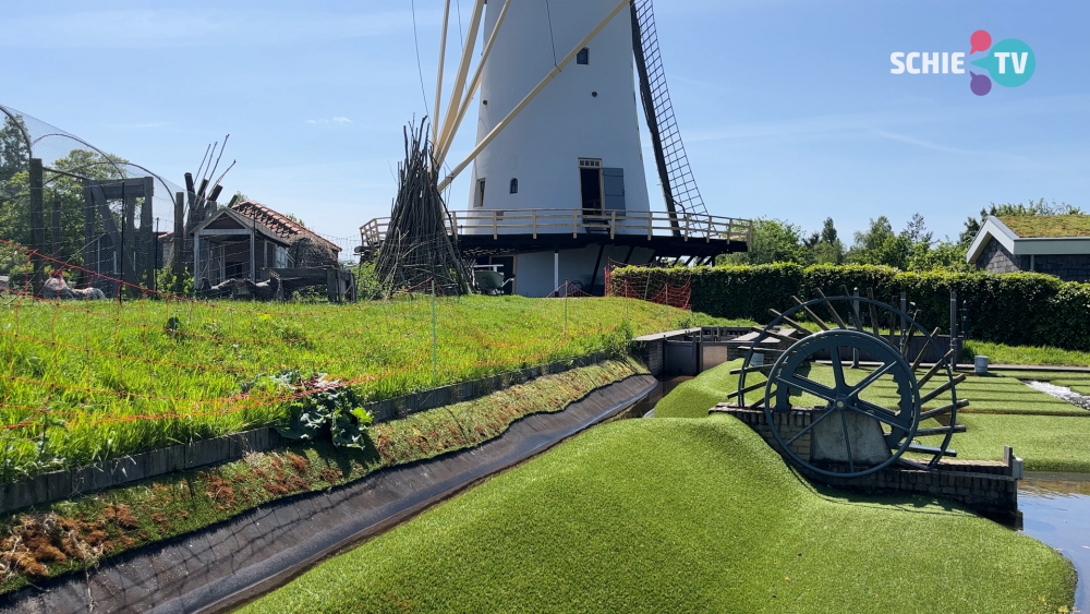 ‘De kleinste tussen alle reuzen’ is weer open én op zoek naar hulp