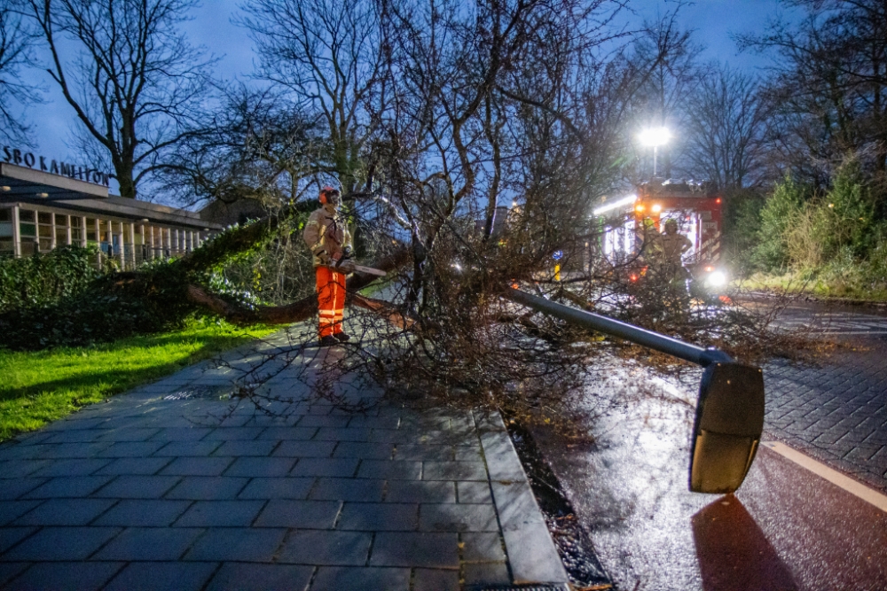 Storm Louis: bomen en lantaarnpaal omver