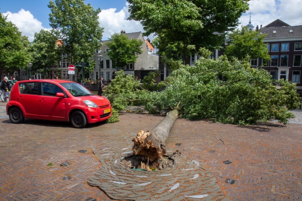 Overal in de streek stormschade