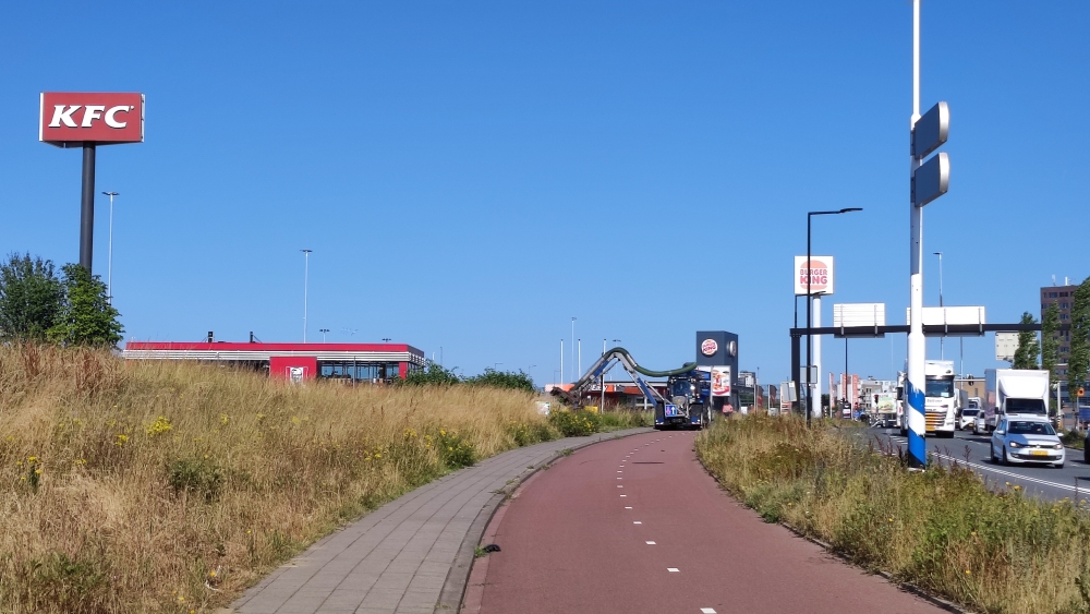 Wildgroeiende duizendknoop wordt vaker gemaaid: ‘De planten hingen over het fietspad’