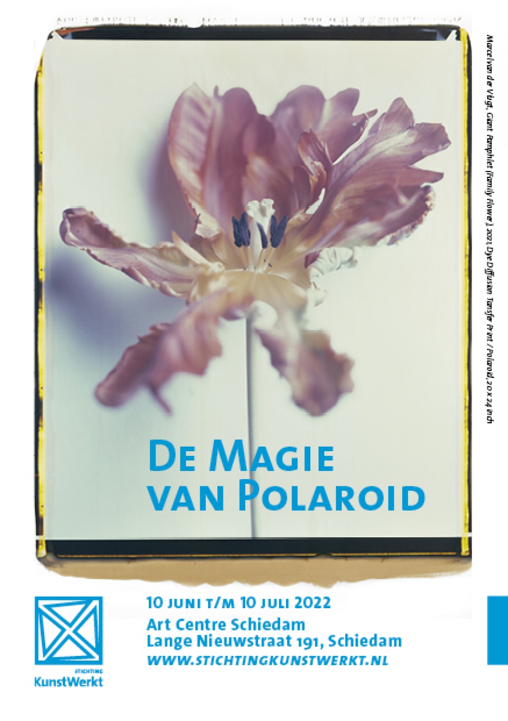 De Magie van Polaroid: expositie over direktklaarfotografie in Nederland in nieuwe pand KunstWerkt