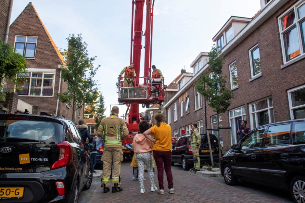 Brandweer redt kat van het dak