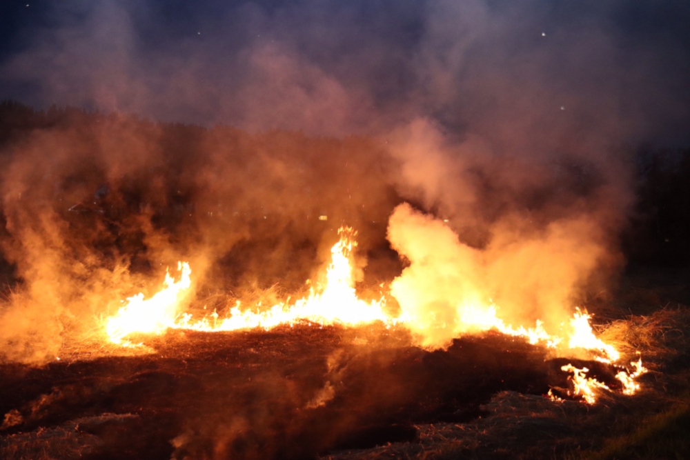 Veel rook bij buitenbrand Schiedam Noord