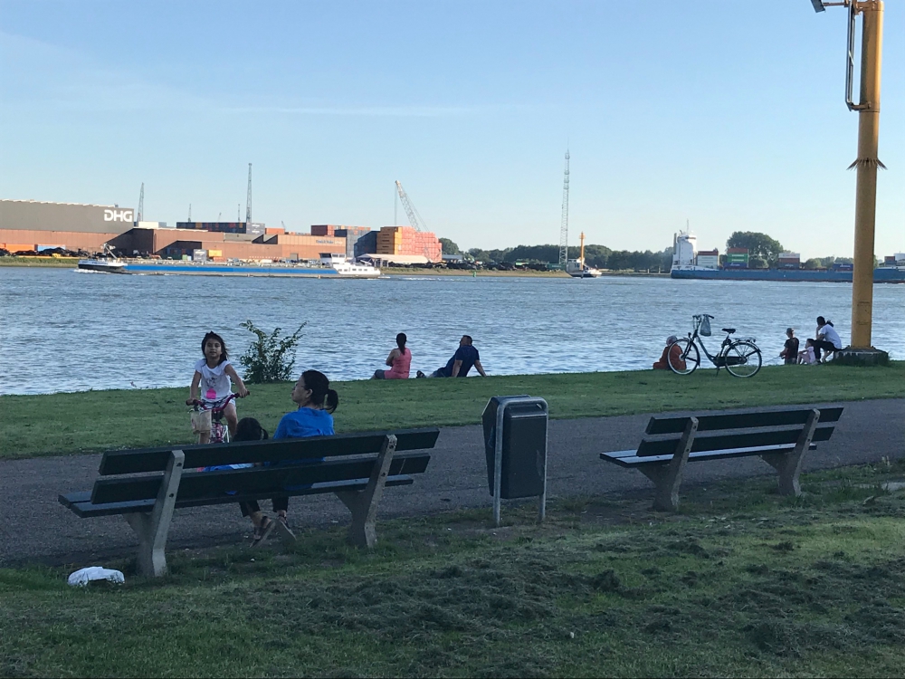 Gemeente: verkeersmaatregelen Maasboulevard gewijzigd