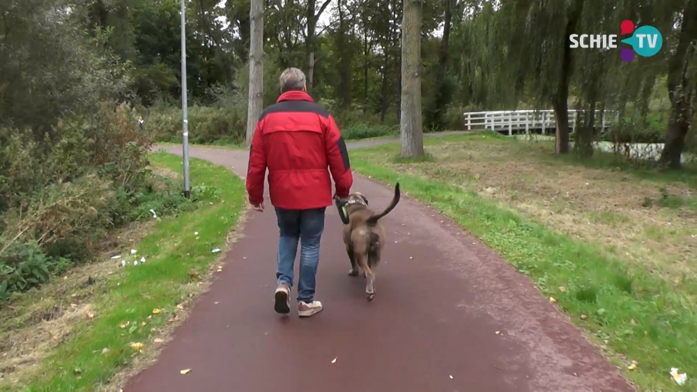 Schiedam gebruikt deel Eneco-miljoenen voor realiseren groenvisie