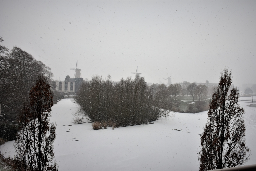 Sneeuw in Schiedam