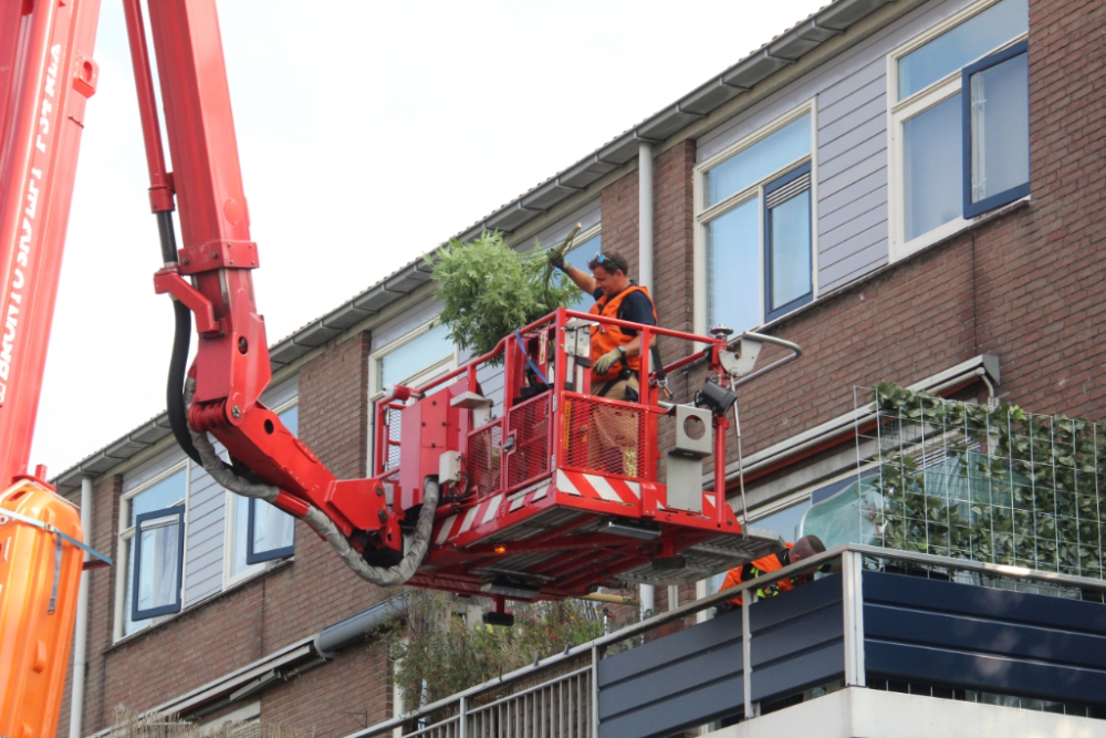 Hennepplanten van balkon op de Tjalk verwijderd