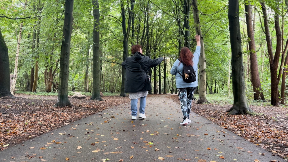 Sterrebos wordt omgetoverd naar spookbos tijdens Halloween