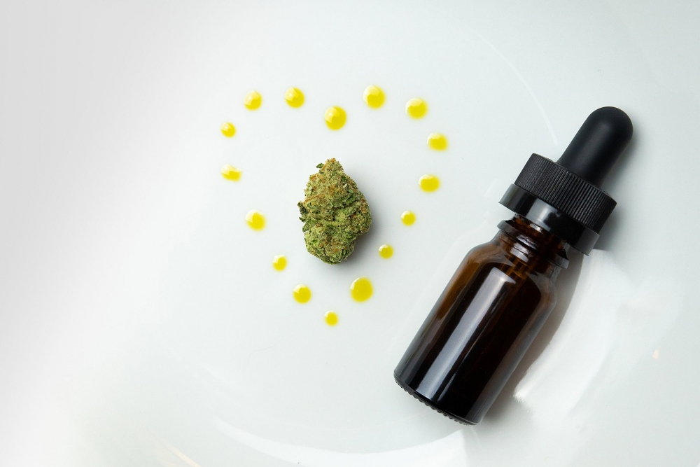 Embrace Life start onderzoek naar medische potentie cannabisplant