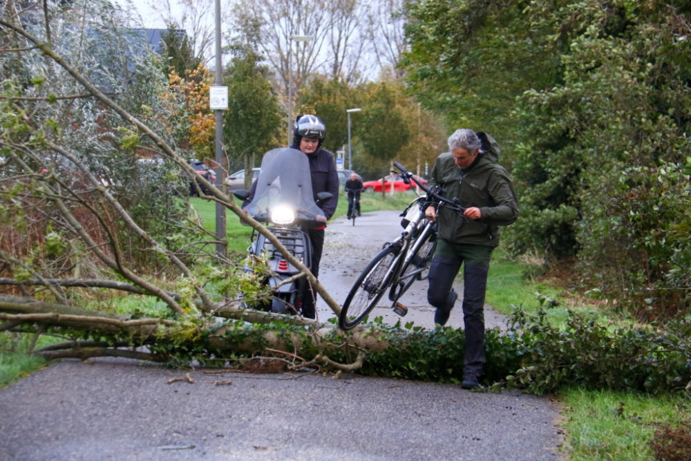 Tweewielerverkeer gestremd door omgewaaide boom