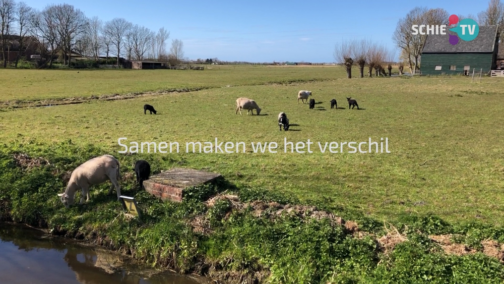 Samen maken we het verschil