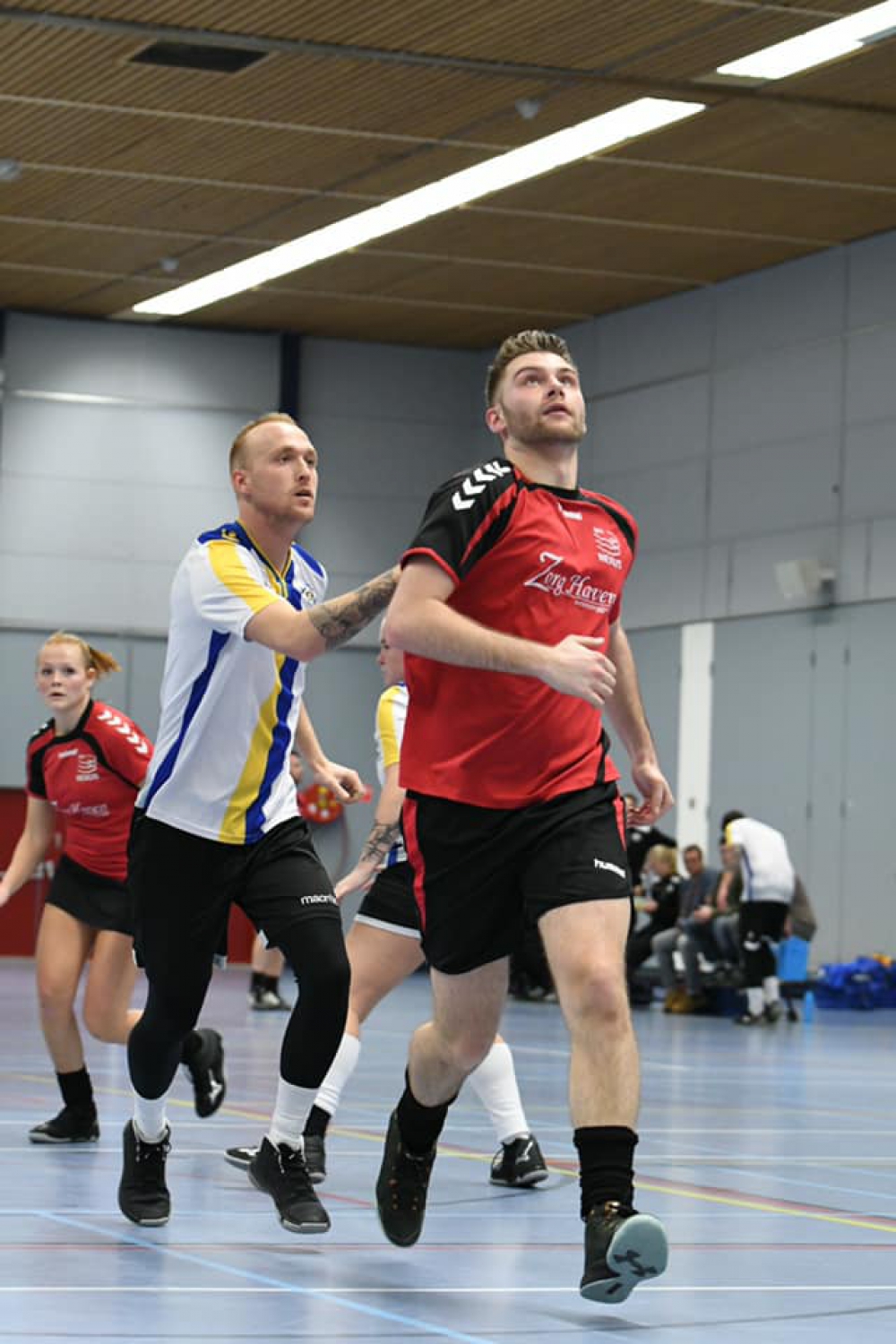 Korfbalkraker in Schiedam