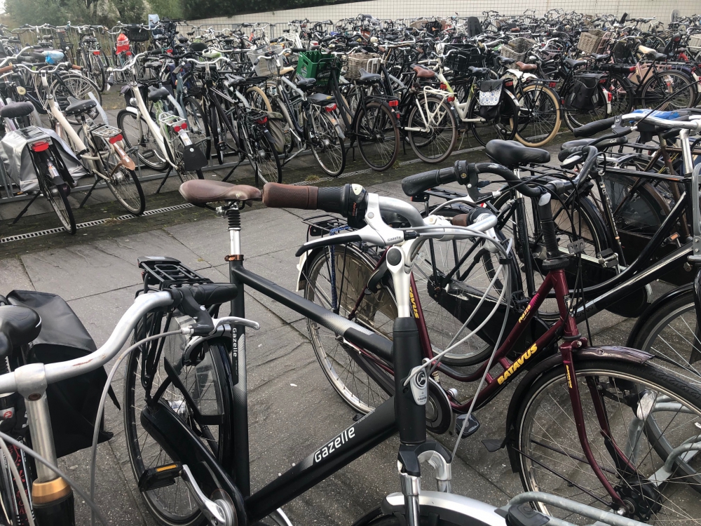 Schiedamse fietsendief en heler opgepakt in De Lier