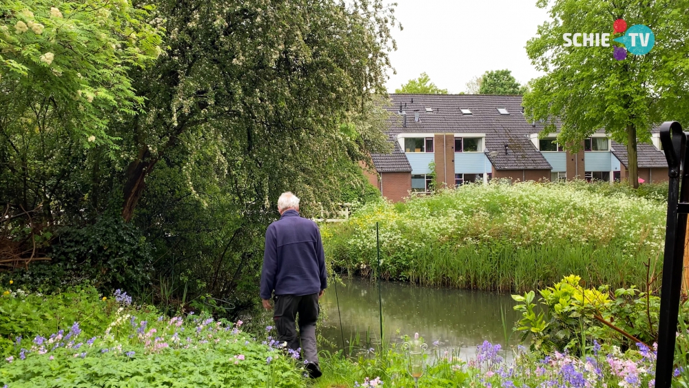 De toename van een ‘vervelend’ fenomeen zorgt voor veel irritatie bij Schiedammers