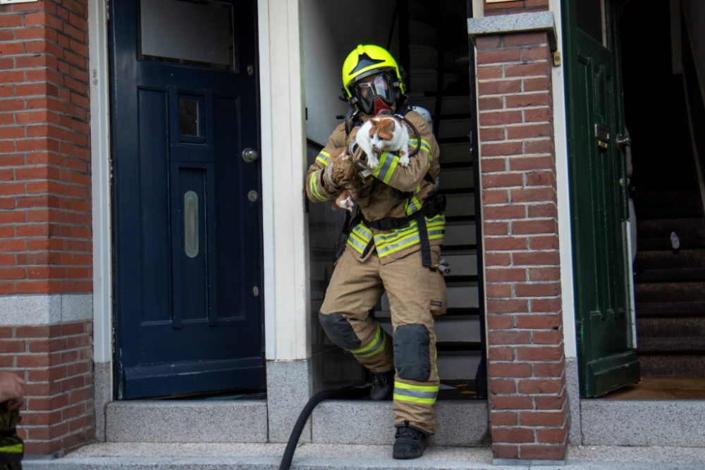 Eén gewonde bij woningbrand: door paniekerige kat