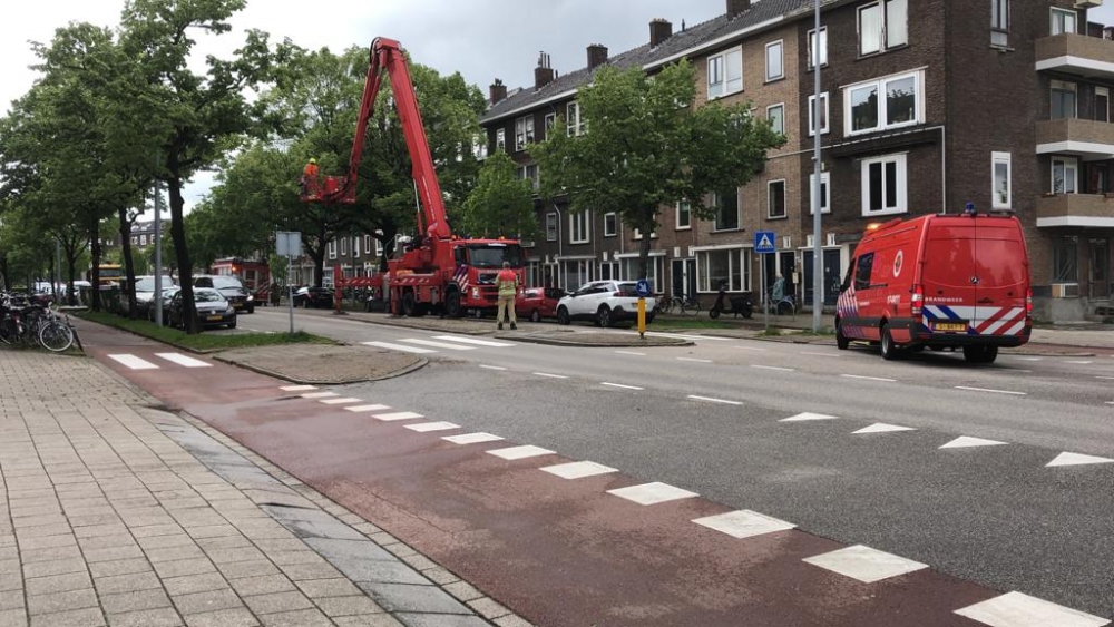 Nog meer gevaarlijk hangende takken verwijderd door de brandweer