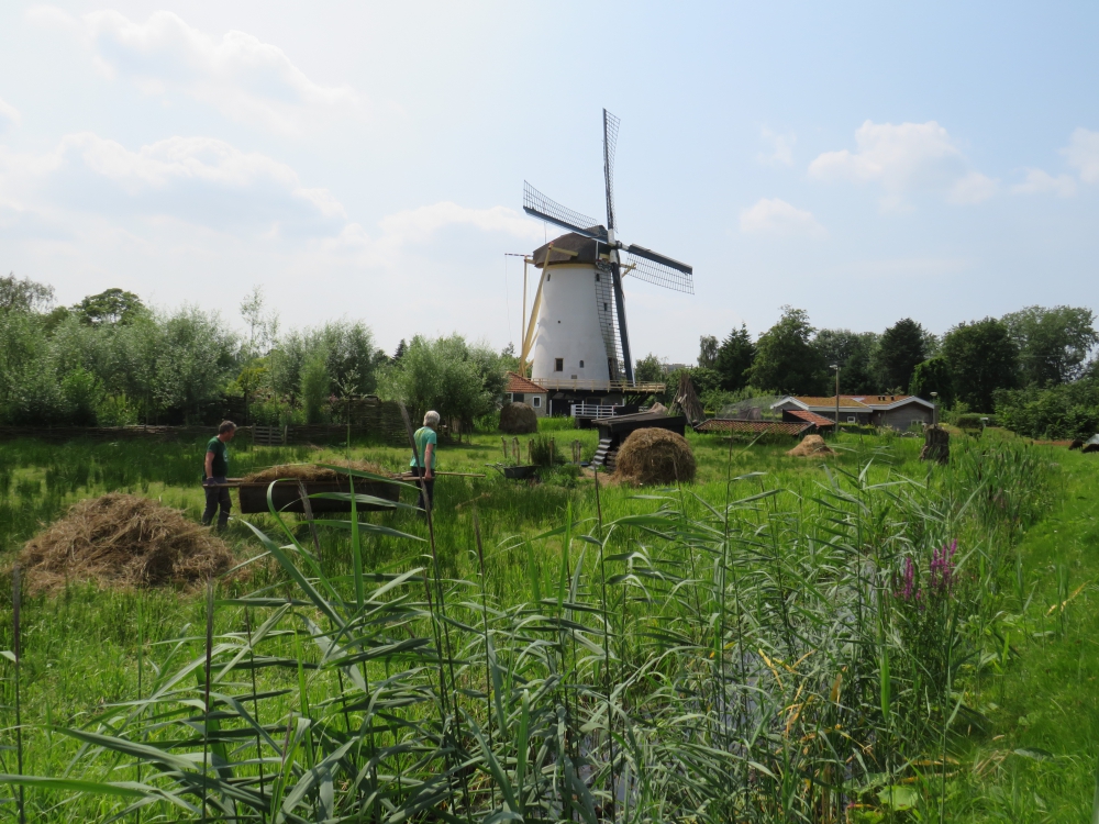 Zaterdag 31 juli extra activiteiten bij de Babbersmolen