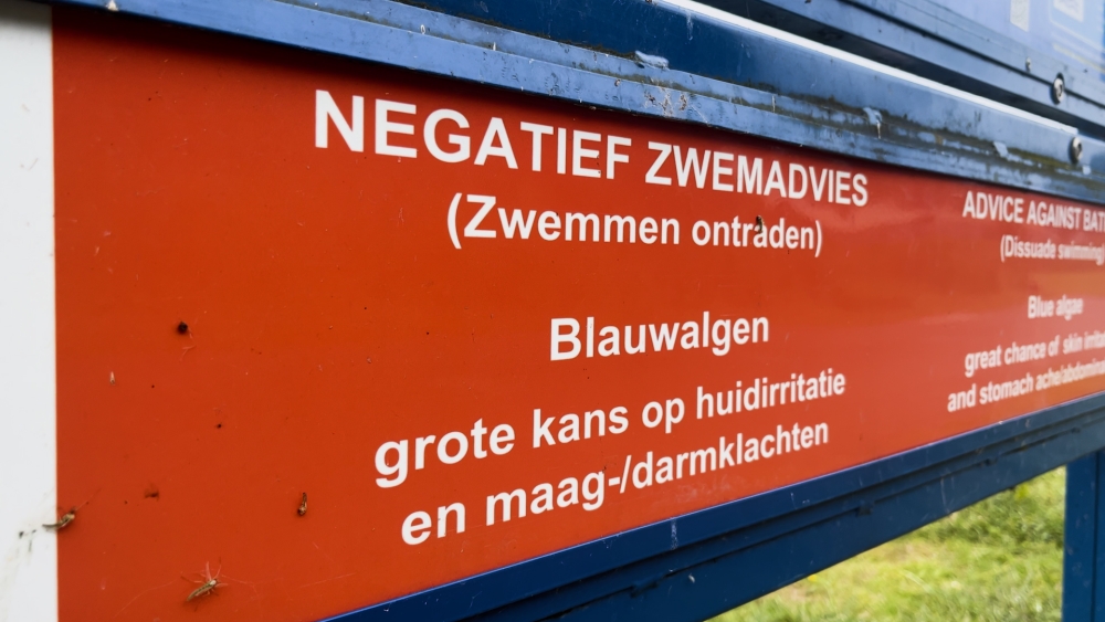 Is de oplossing voor blauwalg in de Krabbeplas gevonden?