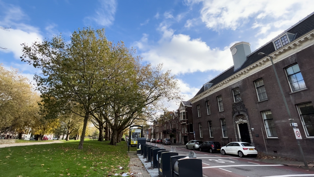 Terugplaatsing toren op Blauwhuis uitgesteld wegens geldtekort