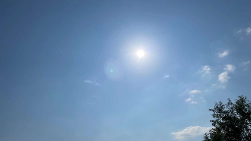 Zomerse temperaturen in Schiedam: buitenterrein Groenoord wordt klaargestoomd, GFT vaker geleegd