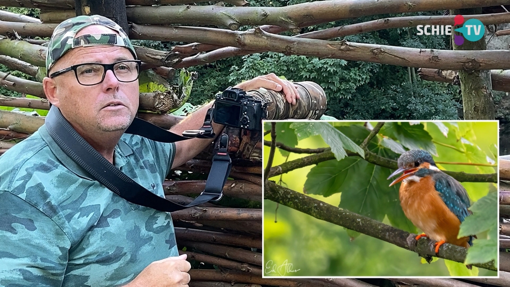 Rijnmond-weerman Ed Aldus is verliefd op Schiedamse ijsvogeltjes