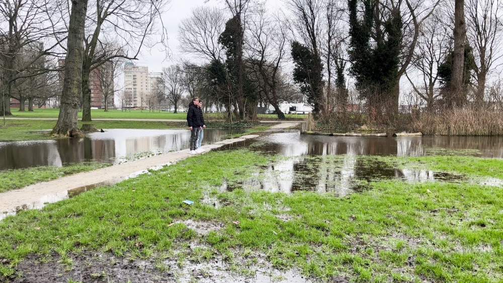 Basketbalveld aan de Maasboulevard komt er bijna: ‘We hebben nog 7.500 euro nodig’